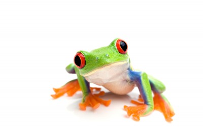 Eat That Frog