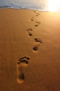 What Dog Training Can Teach You About Personal Growth
