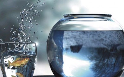 13 Ways To Expand Your Comfort Zone