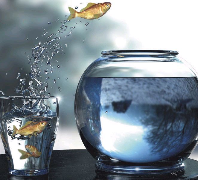 13 Ways To Expand Your Comfort Zone