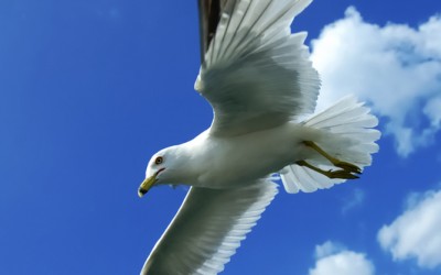 Are You Working Up To Your Potential? 7 Ways To Soar