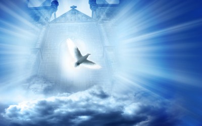 How Does The Law Of Cause And Effect Really Impact Your Life?