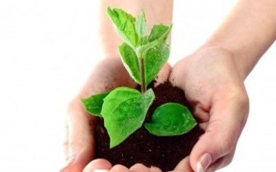 Finding Peace During Challenging Times