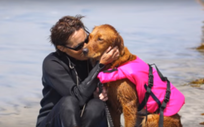 Riding A Wave Of Hope