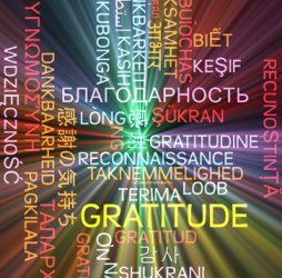 Express Your Feelings Peacefully With The Help Of Gratitude