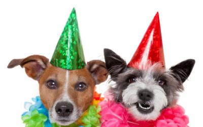 Go Ahead. It’s Your Birthday…Wish List!