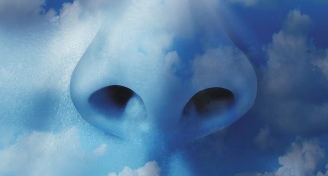 The Art Of Deep Breathing: A Sanity-Saving Strategy