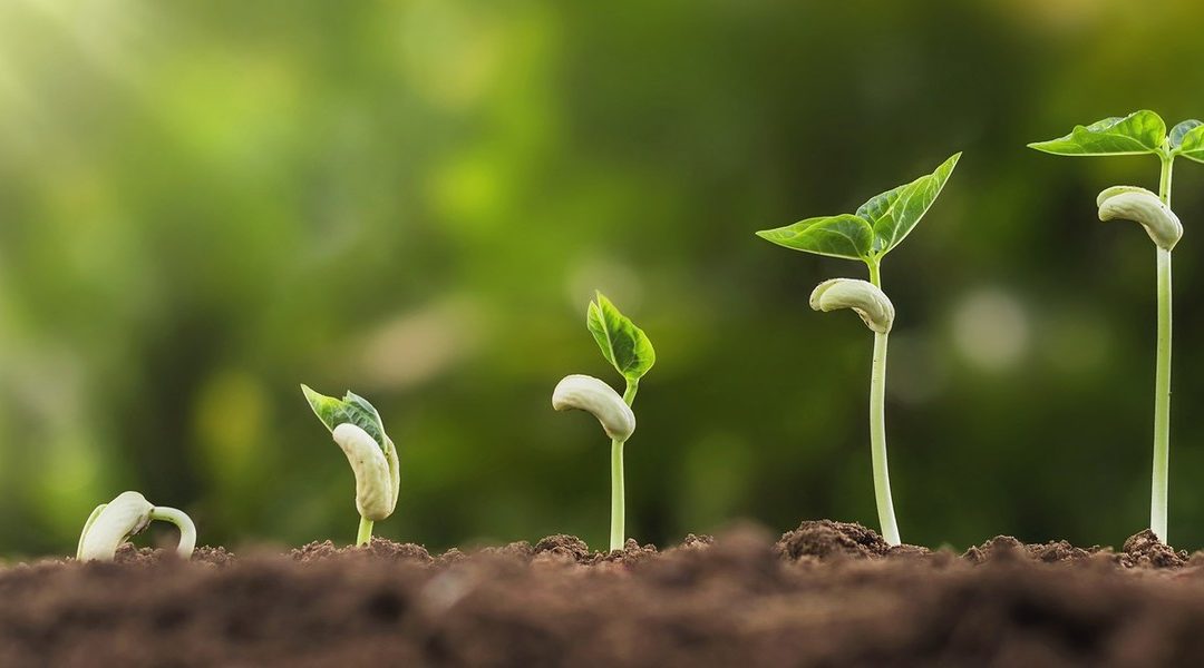 9 Steps To Realizing Your Full Potential