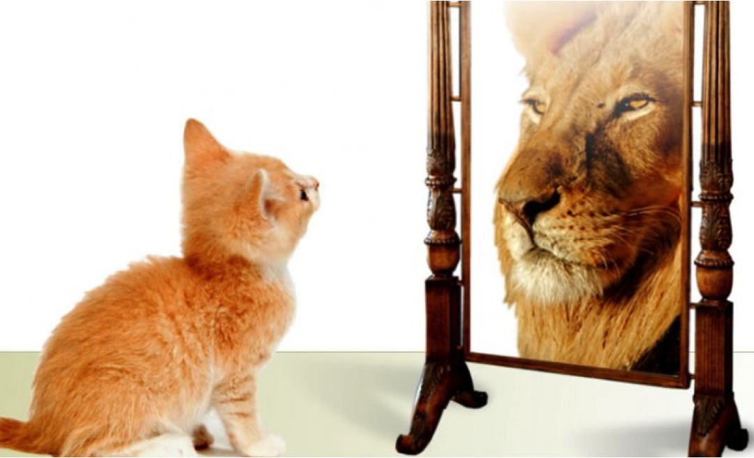 Need A Hero? Make Your Higher Self Your Hero