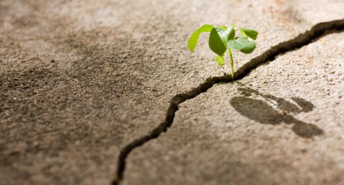 Top 10 Ways To Overcome Obstacles And Adversity