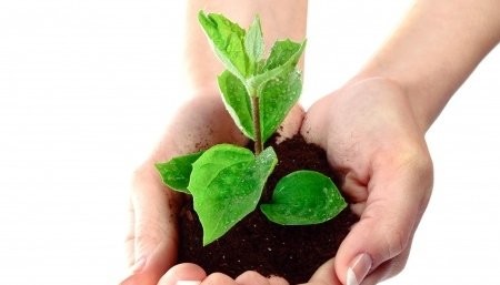 Mary, Mary, Quite Contrary, How Does Your Client Base Grow?